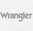 logo wrangler